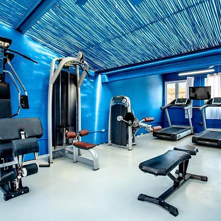 Wellness &