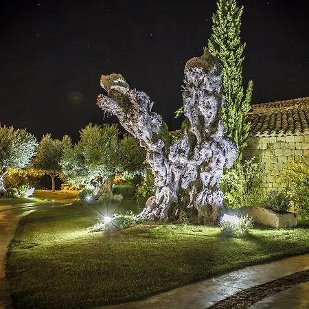 Wellness & Кастиадас