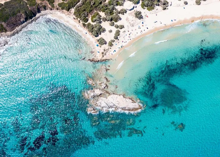 Wellness & Кастиадас