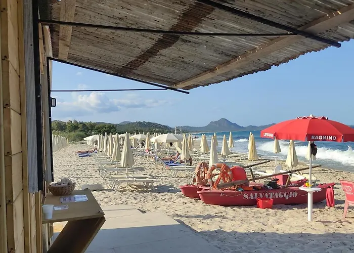 Отель Wellness & 4*