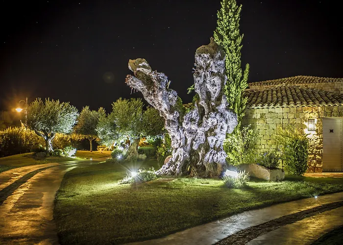 Wellness & Кастиадас