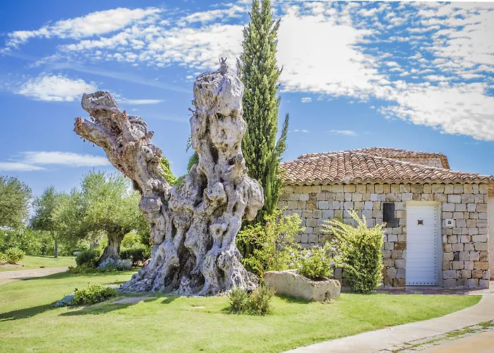 Отель Wellness & 4*