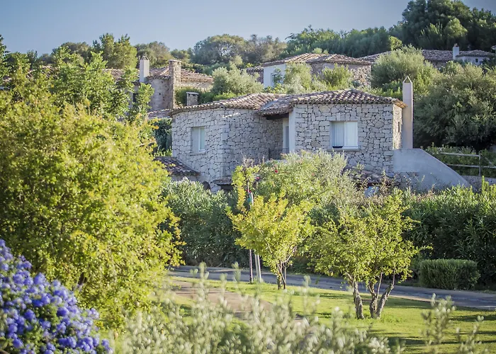 Wellness & Кастиадас