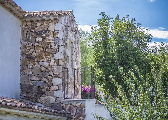 Отель Wellness & 4*